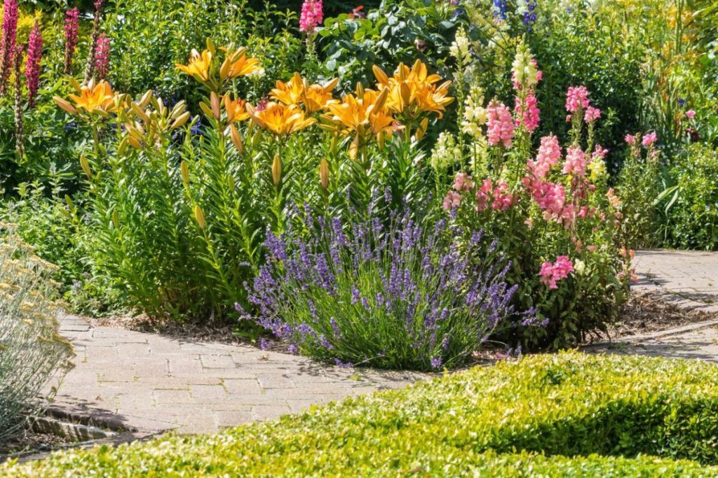 La décoration extérieure : comment créer un jardin anglais ?